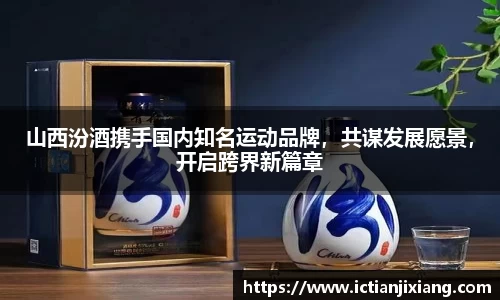 bsports官网入口