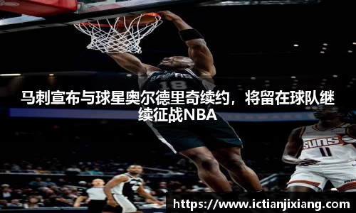 B体育bsports